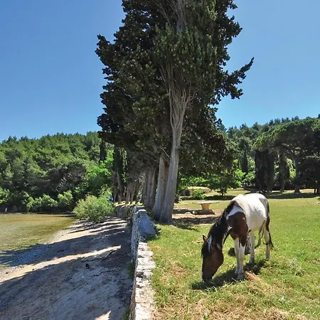 Pet Friendly In With View Appartement